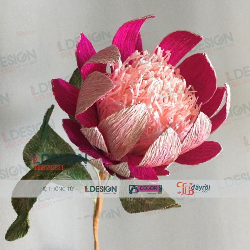 Hoa Chi đường thảo - Pprotea flower được làm thủ công