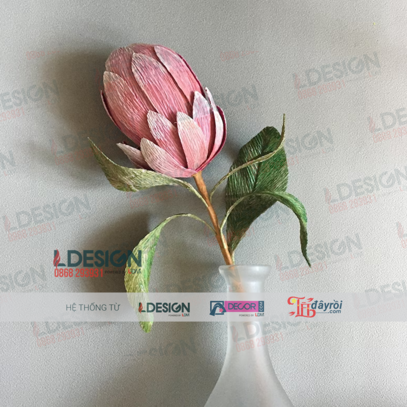 Hoa Chi đường thảo - Pprotea flower được làm thủ công - Hình ảnh 2