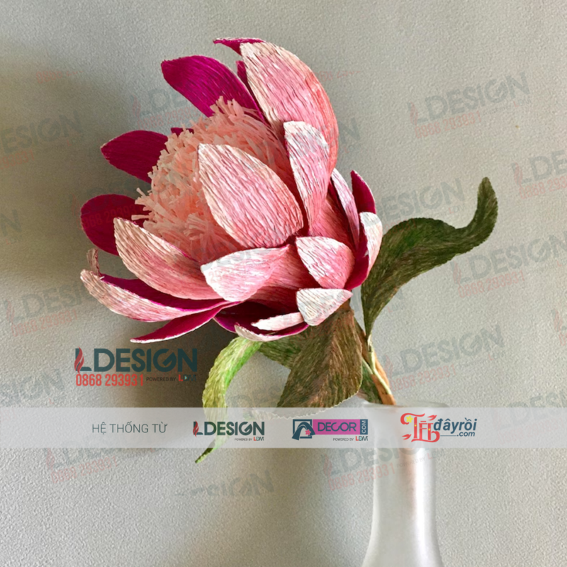 Hoa Chi đường thảo - Pprotea flower được làm thủ công - Hình ảnh 4