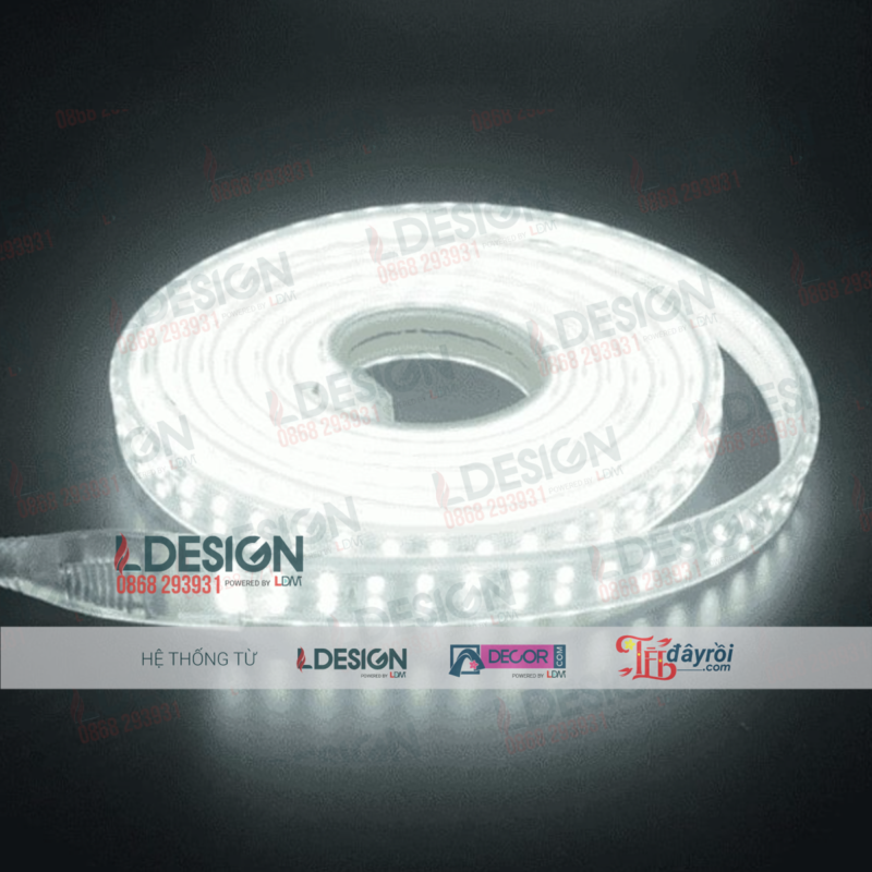 Đèn LED dây (cuộn) trang trí đơn sắc dài 5m