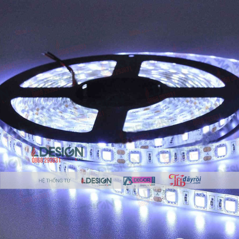 Đèn LED dây (cuộn) trang trí đơn sắc dài 5m - Ảnh 2